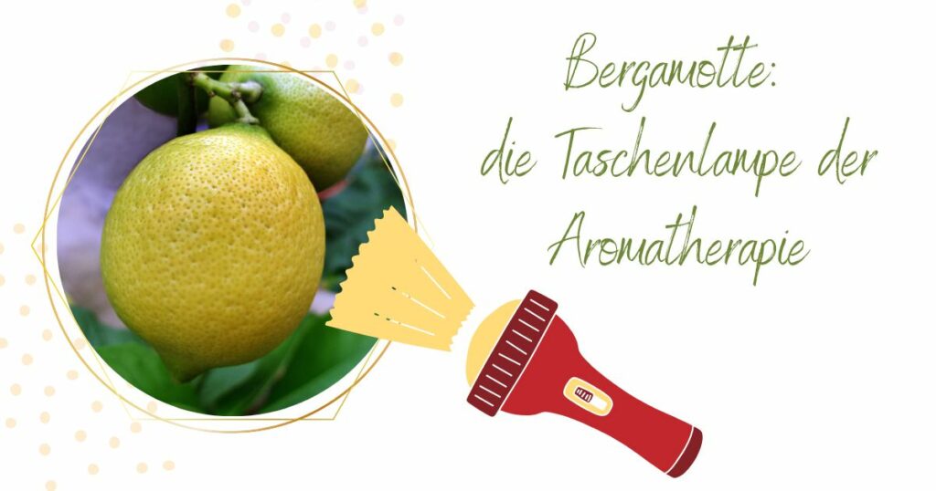 Bergamotte - die Taschenlampe der Aromatherapie