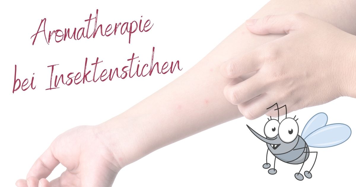 Aromatherapie bei Insektenstichen