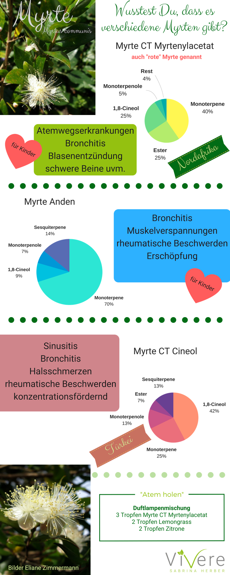 Aromatherapie bei viralen Infekten