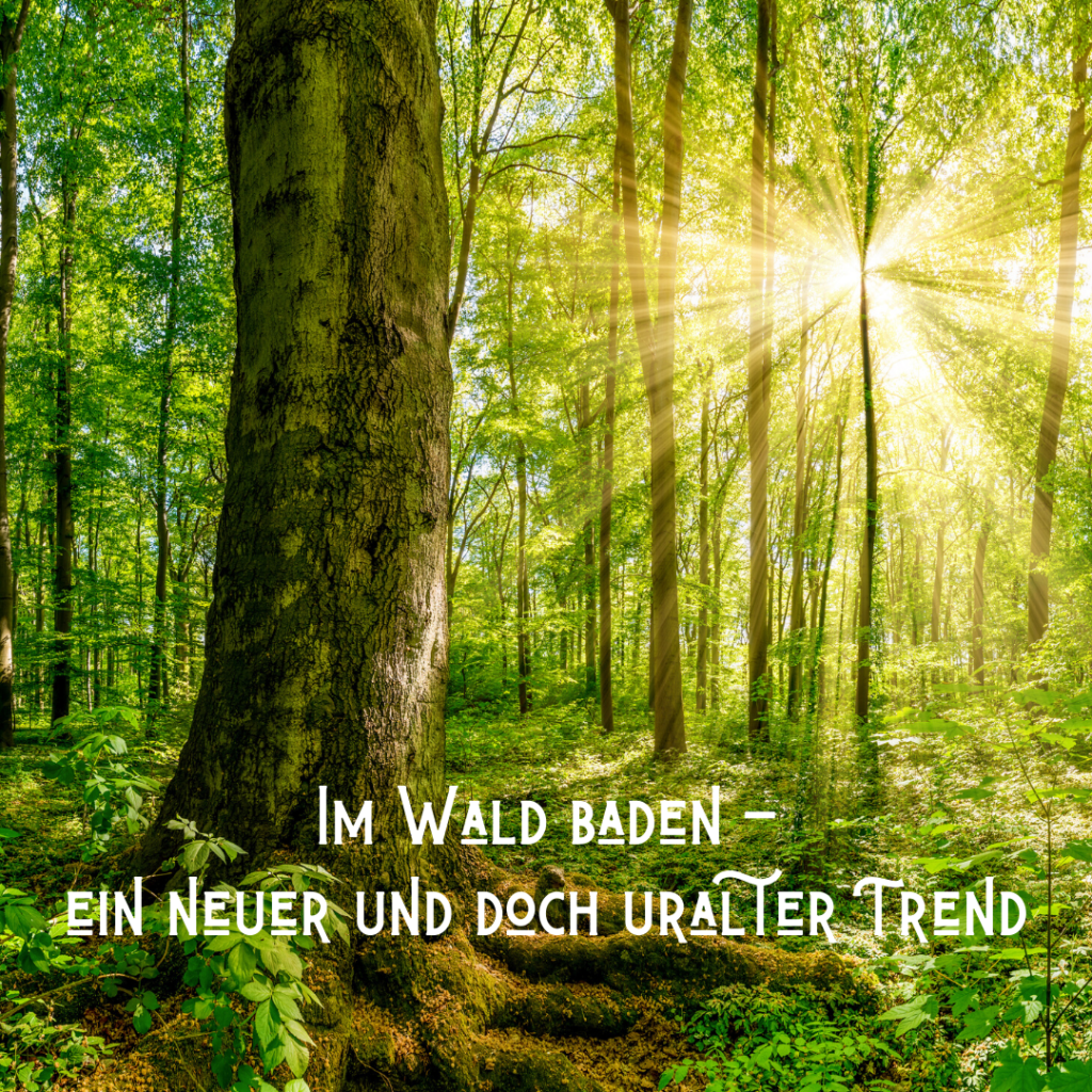 Baden im Wald - ein neuer und doch uralter Trend!