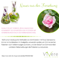 Kopie Von Neues Aus Der Forschung Rose