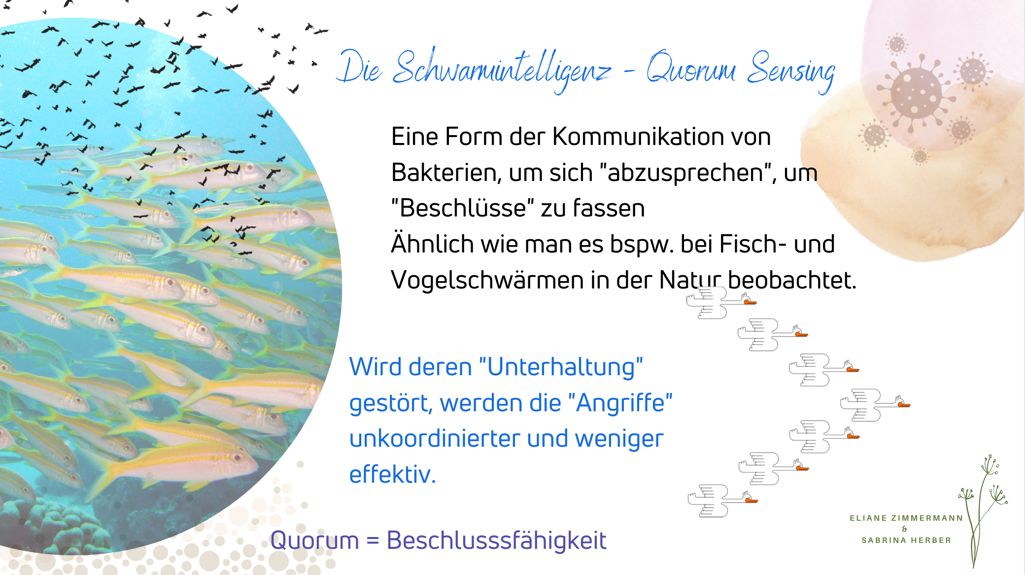 Das Aromatogramm - effektiv und immer noch wenig beachtet