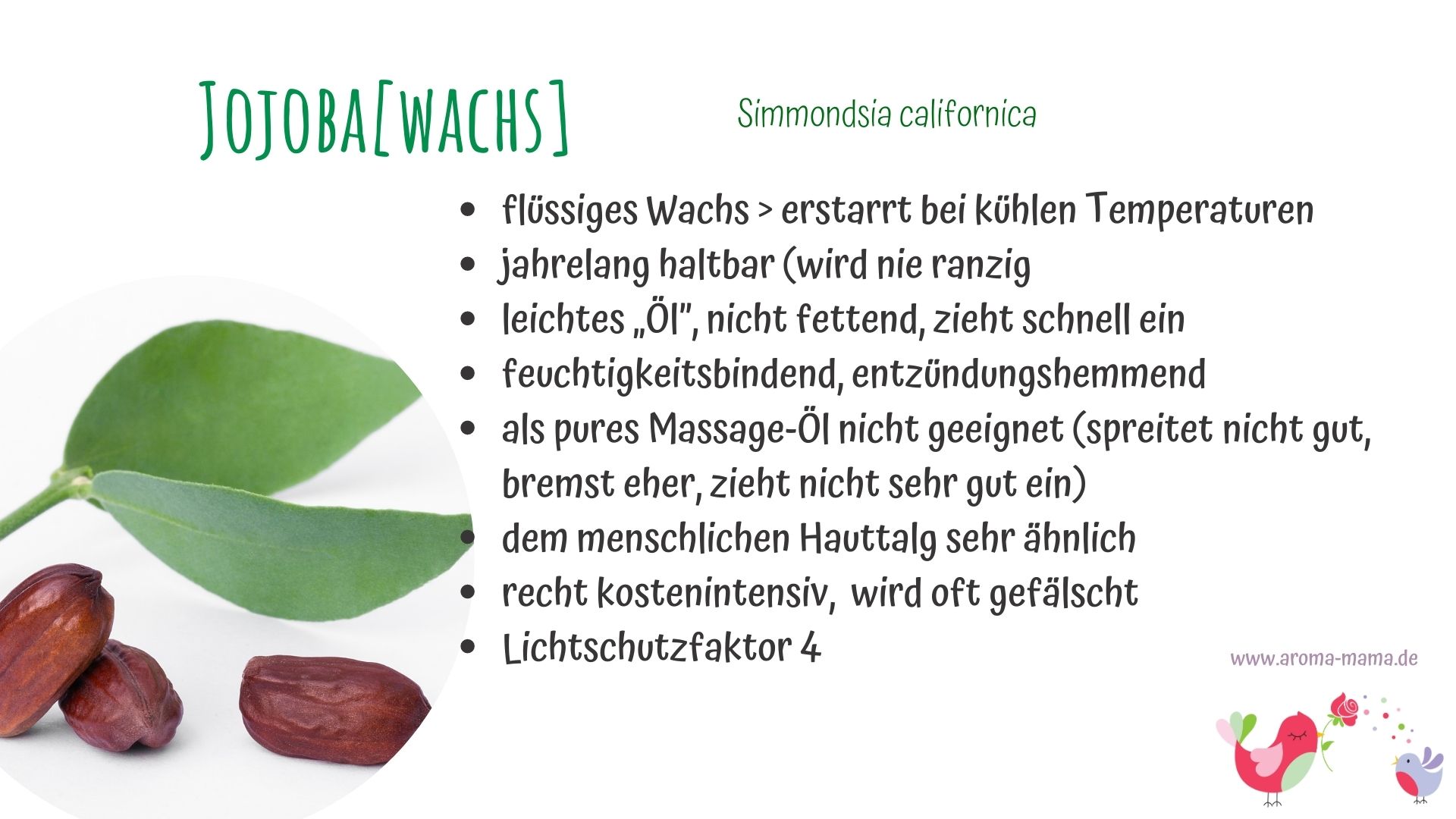 Adventskalender – Aromatherapie 16. Dezember