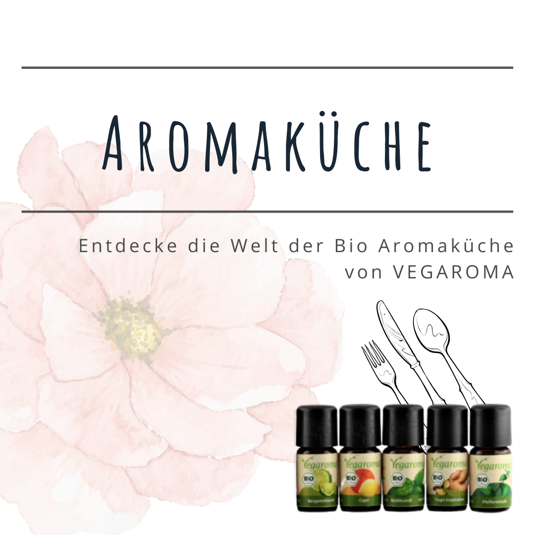 Seminarangebote