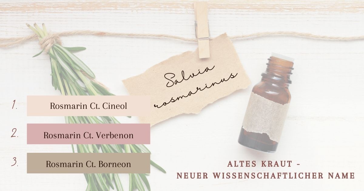 Zeitenwende - Aromatherapie bei Frühjahrsmüdigkeit