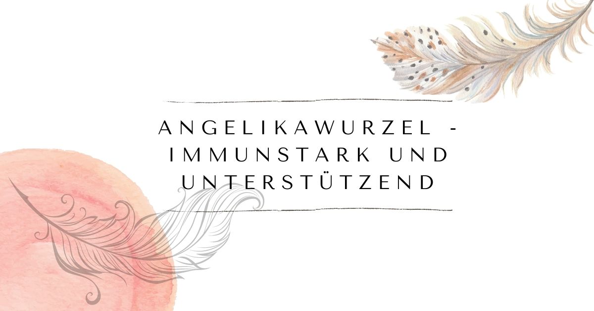 Angelikawurzel - immunstark und unterstützend