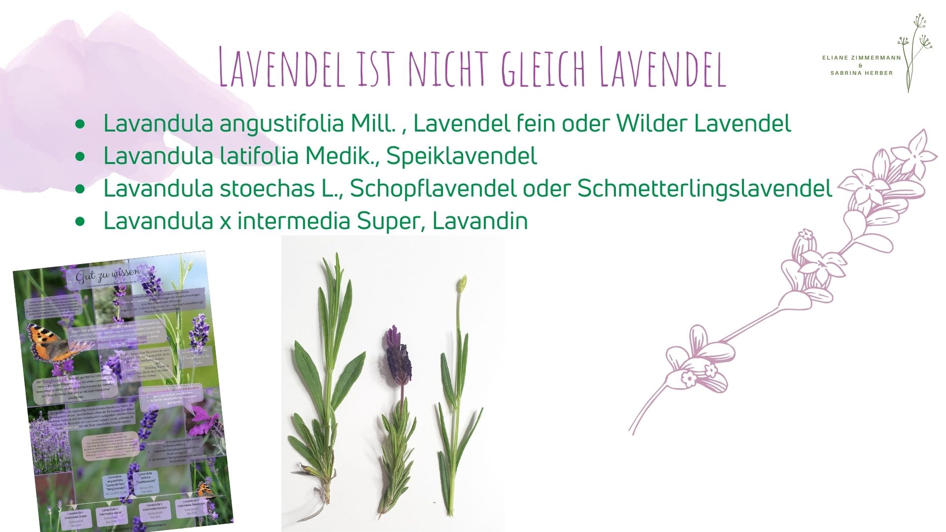 Lavendel & Orange – ein duftes Gespann