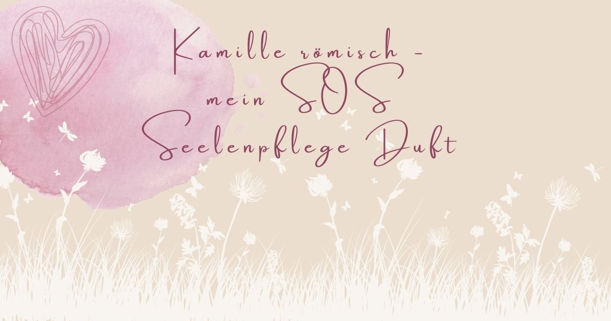 Aromatherapie mit Kamille bei Mobbing und Ängsten