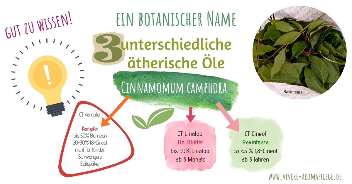 Verwirrungen in der Aromatherapie - ein botanischer Name - drei ätherische Öle