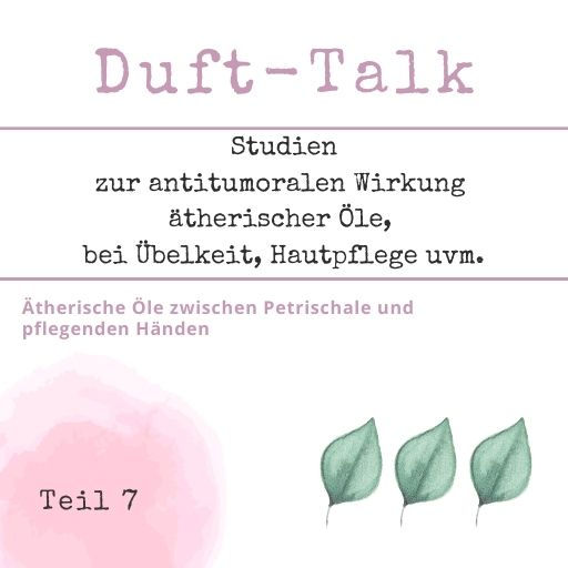 Social_Media_Bildchen (12)