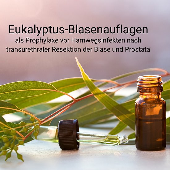Eukalyptus_Blasenauflagen_Blogbeitrag_ViVere_Aromapflege