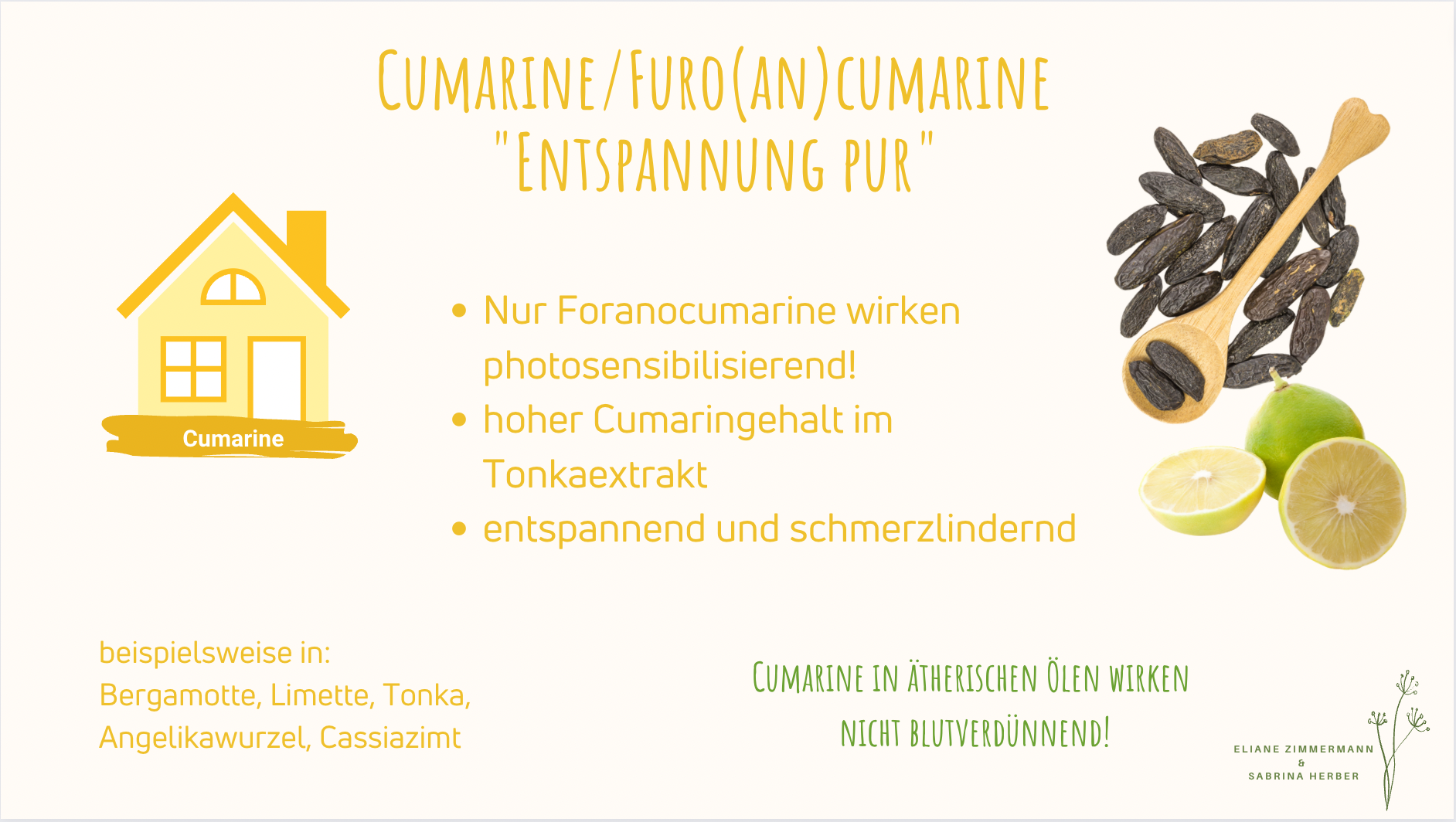 glücklich asiatisch jung Frau, Mädchen Hand halten Flasche von wesentlich  und fallen Öl in Luft Luftbefeuchter, genießen Aromatherapie Dampf Duft  Diffusor komfortabel während sich ausruhen im Leben Zimmer, Wohnung beim  heim. 25133872