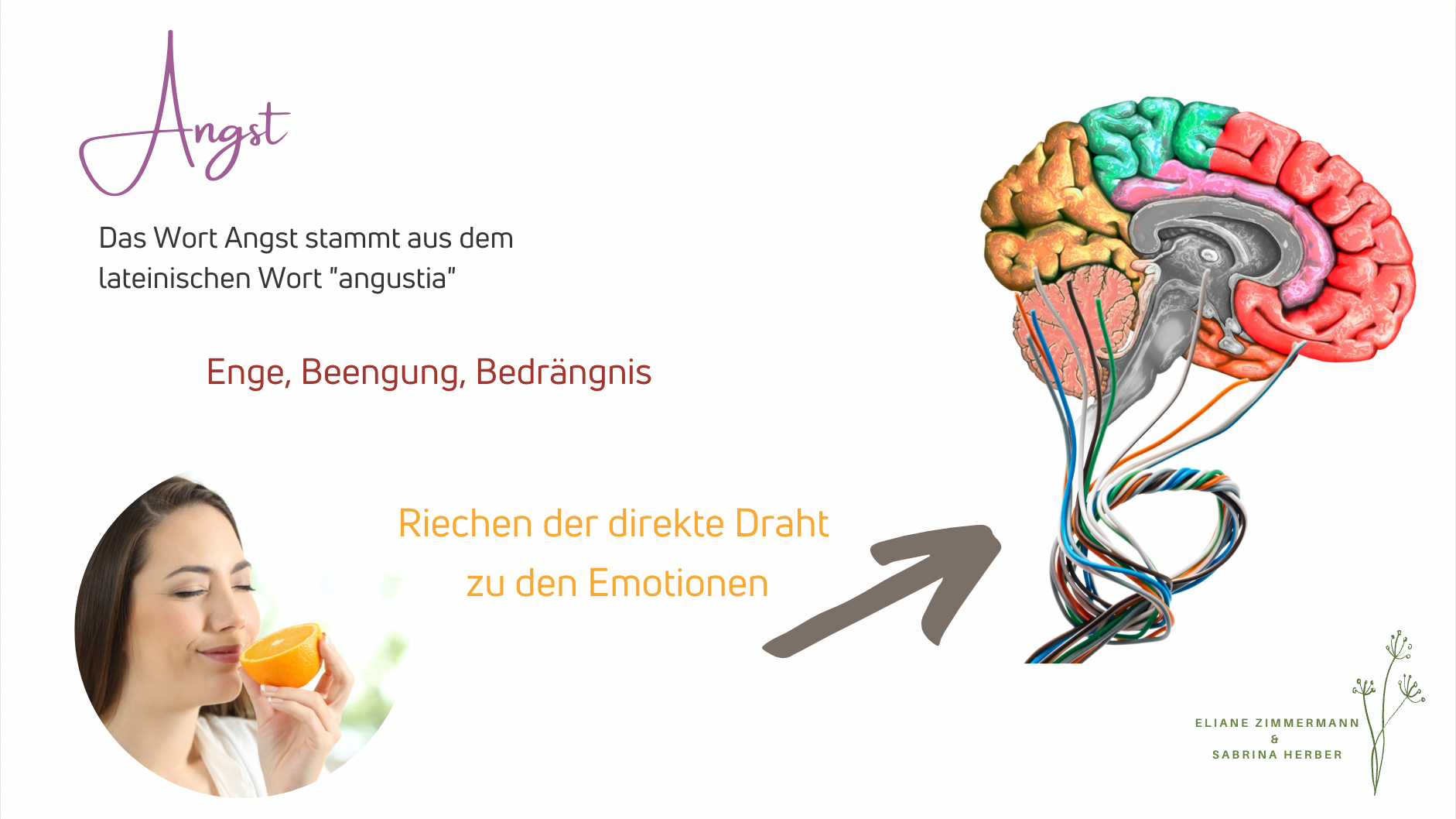 glücklich asiatisch jung Frau, Mädchen Hand halten Flasche von wesentlich  und fallen Öl in Luft Luftbefeuchter, genießen Aromatherapie Dampf Duft  Diffusor komfortabel während sich ausruhen im Leben Zimmer, Wohnung beim  heim. 25133872