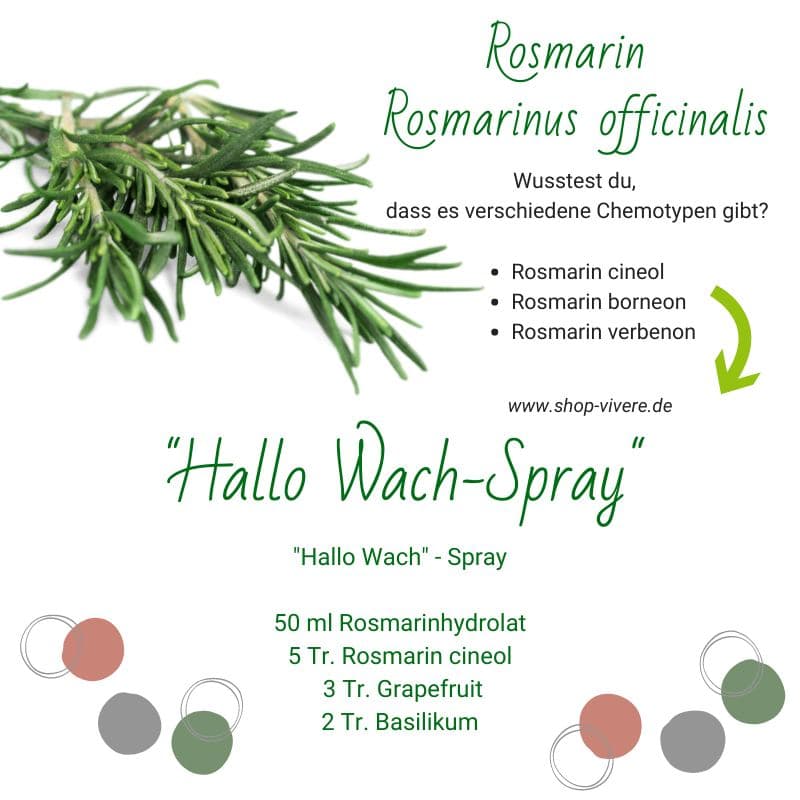 Rosmarin_Hallo_Wach_Spray_ViVere_Aromapflege