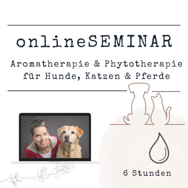 onlineSEMINAR Aromatherapie für Hunde, Katzen & Pferde