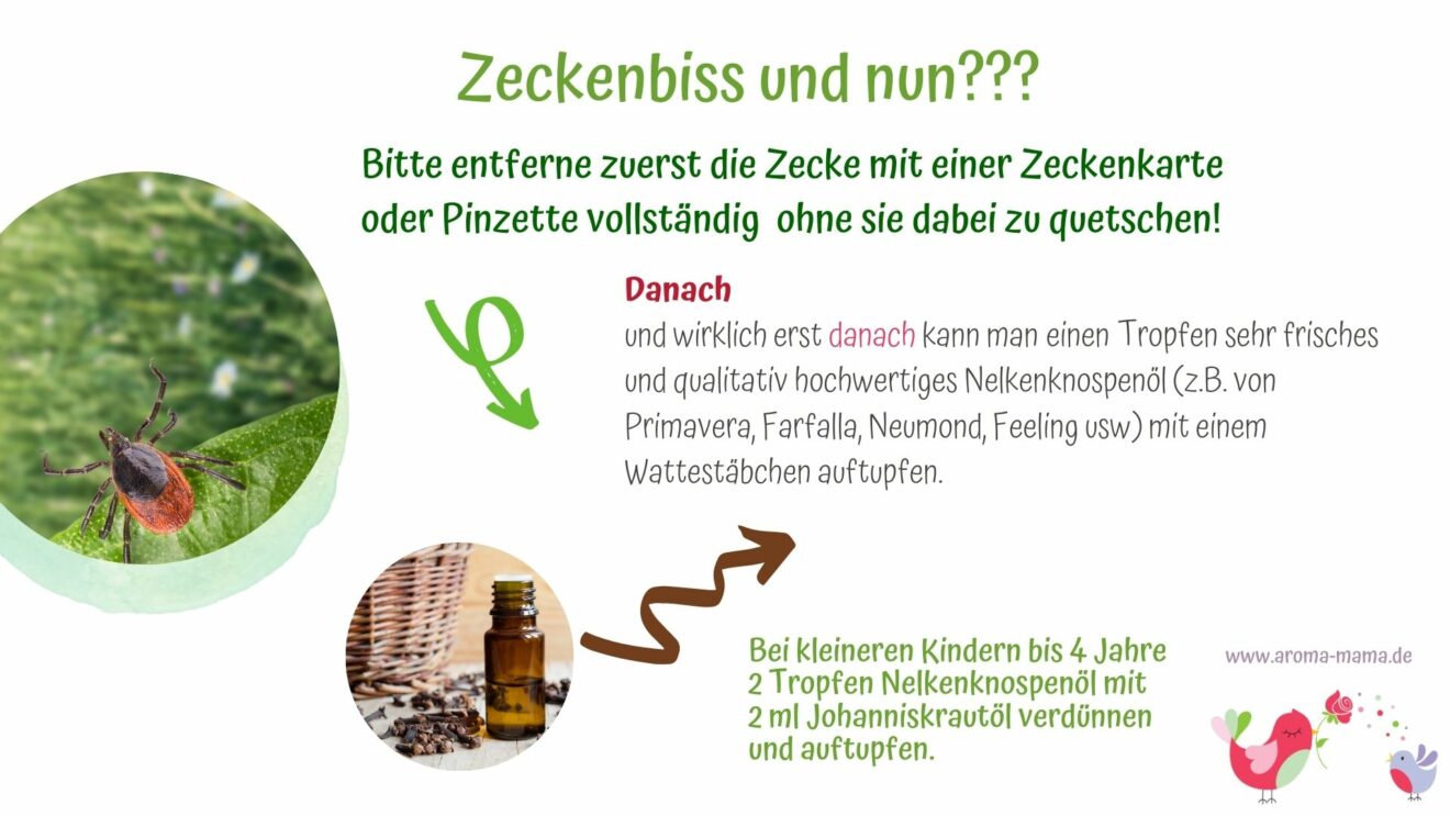 Zeckebiss Und Nun ViVere Aromapflege