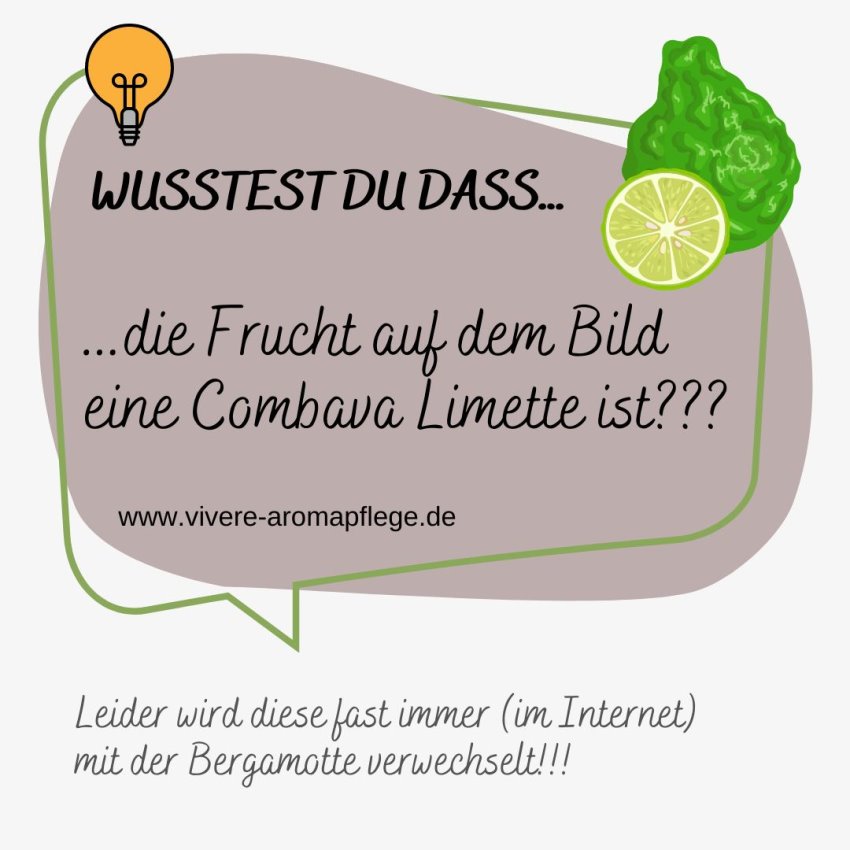 Combava_Limette_ViVere_Aromapflege