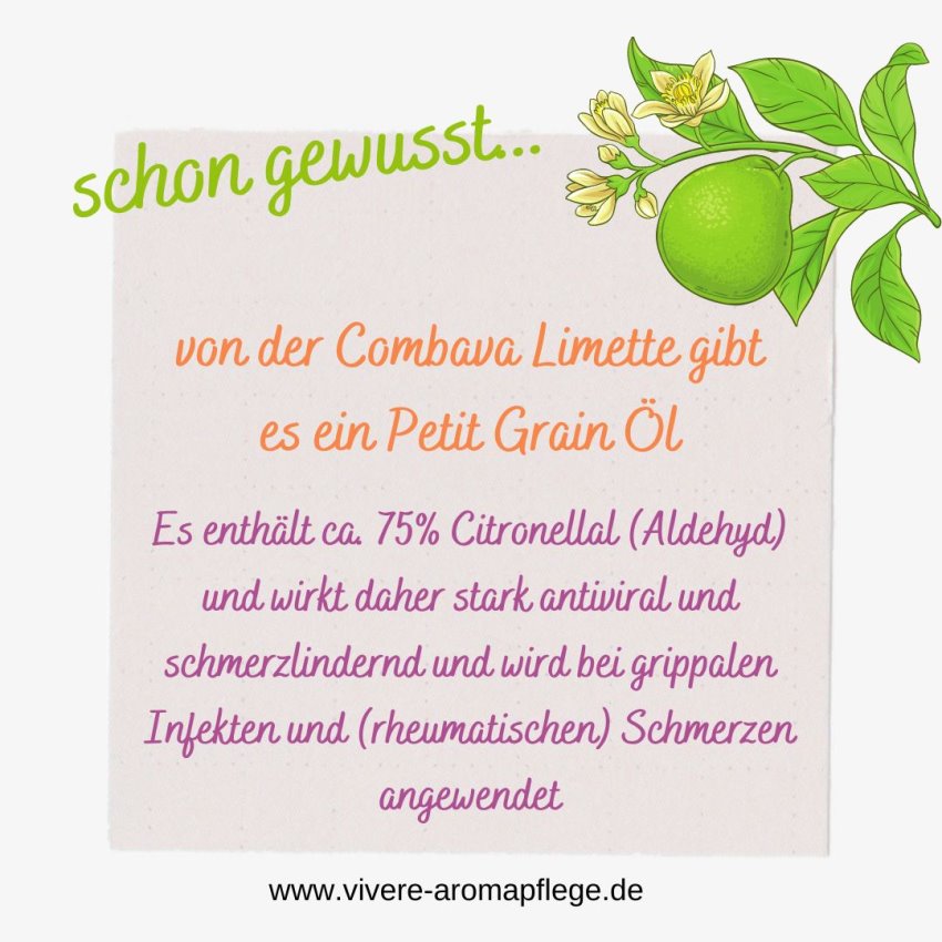 Combava_schon_gewusst_ViVere_Aromapflege