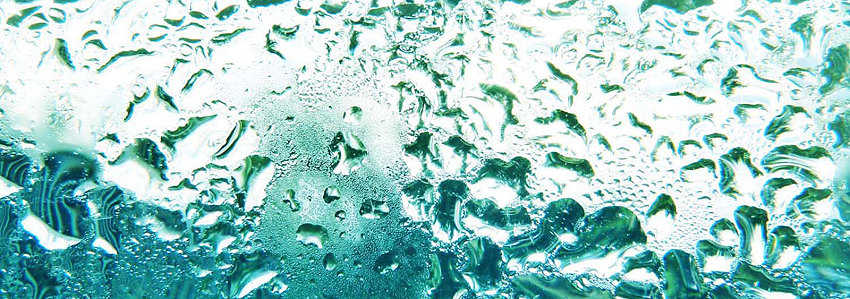 Hydrolate_Blogbeitrag_Eliane_ViVere_Aromapflege