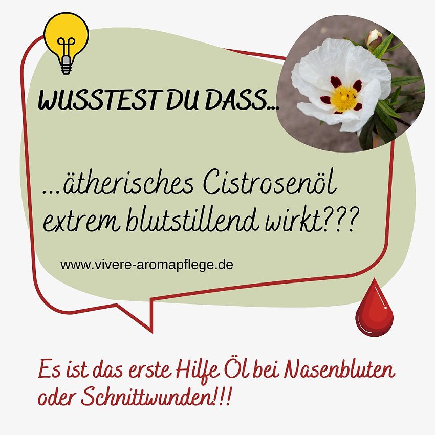 wusstest_Du_Cistrose_ViVere_Armapflege
