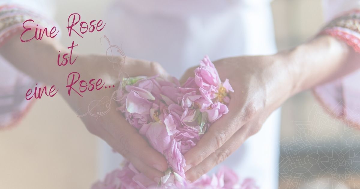 Blogbeitrag_Eine_Rose_ist_eine_Rose_ViVere_Aromapflege