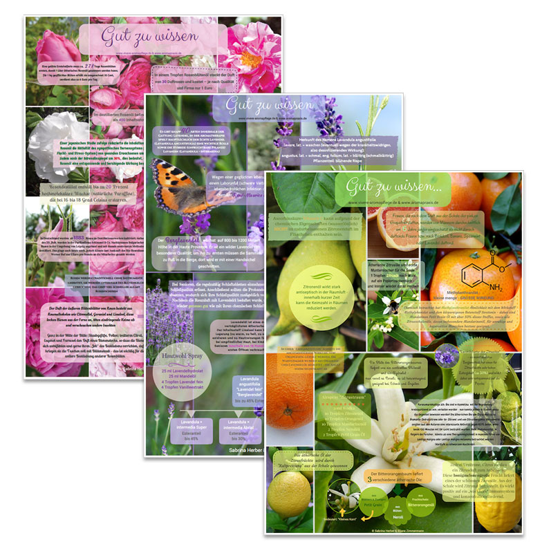 Duftposter_Sparpaket_ViVere_Aromapflege