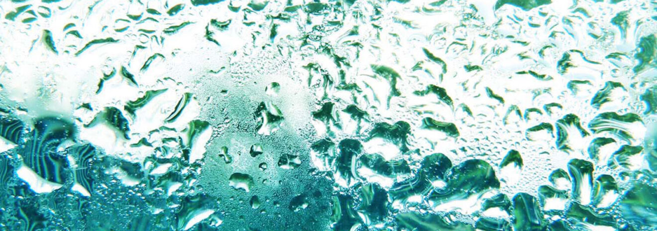 Hydrolate_Blog_Eliane_Zimmermann