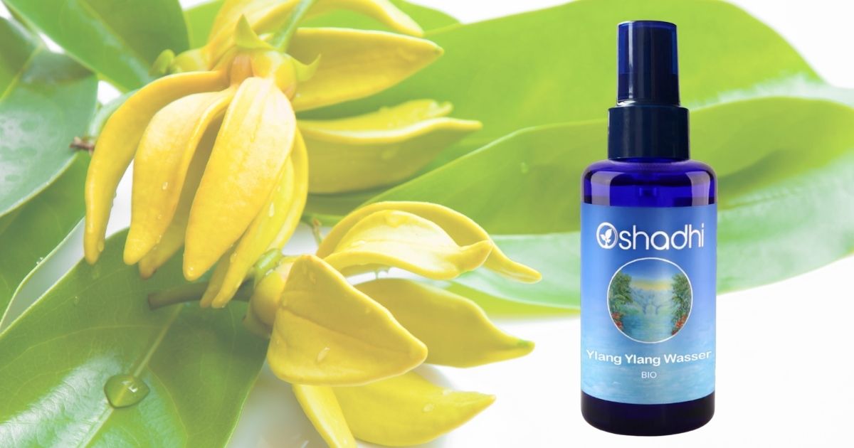 YlangYlangWasser_Bio_Oshadi_ViVere_Aromapflege_FB