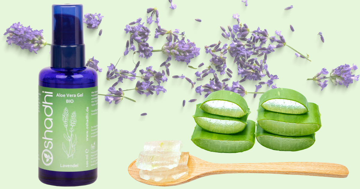 Aloe Vera Gel Bio Lavendel Oshadi ViVere Aromapflege FB