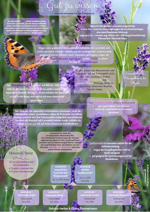 Poster A2 Lavendel Vivere Aromapflege