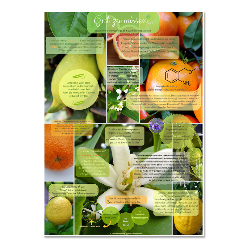 Poster_A2_Zitrusoele_Vivere_Aromapflege_AromaMama