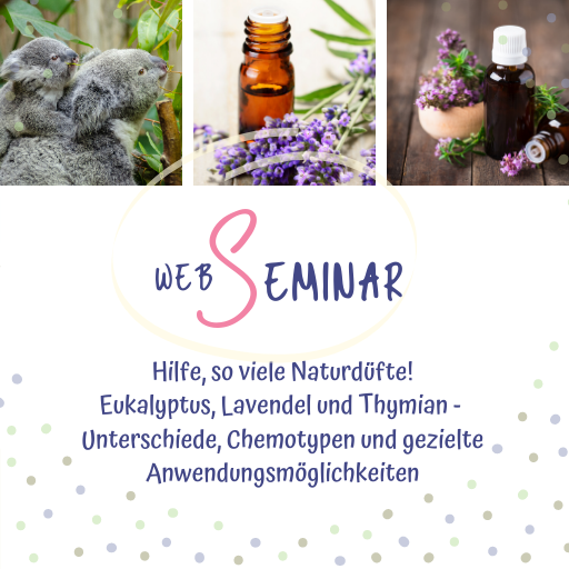 Web Seminar Eukalyptus Lavendel Thymian