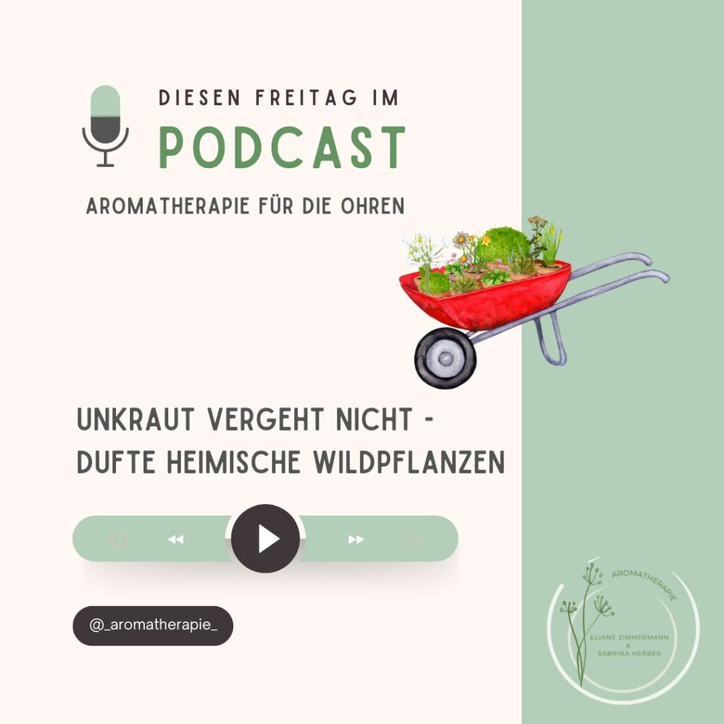 Episode 39 - Unkraut vergeht nicht - Dufte heimische Wildpflanzen