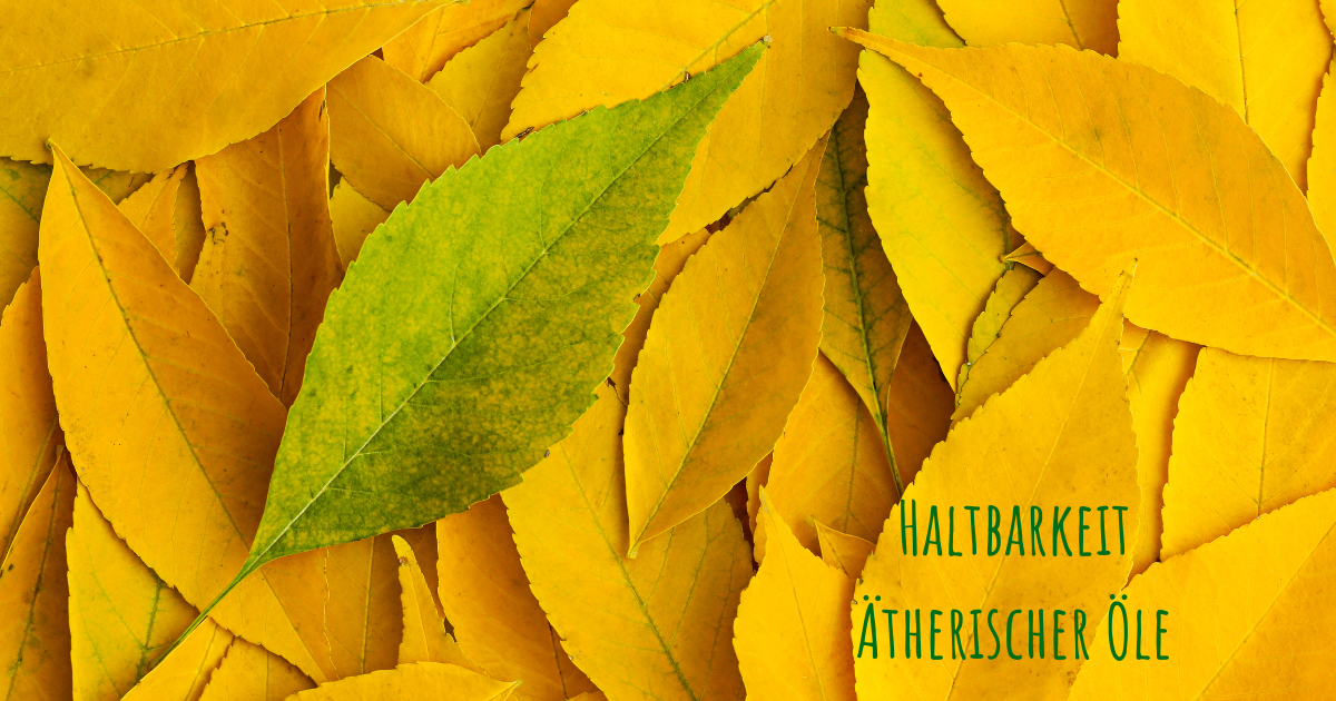 Haltbarkeit_aetherischer_Oele_ViVere_Aromapflege