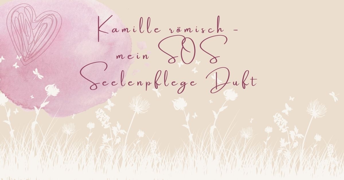 Kamille Roemisch SOS Seelenpflege ViVere Aromapflege