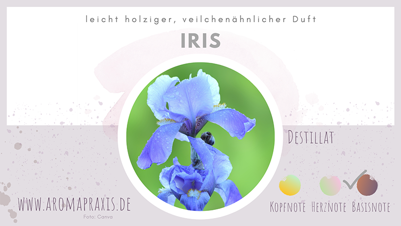 Oelelexikon E Zimmermann Iris ViVere Aromapflege