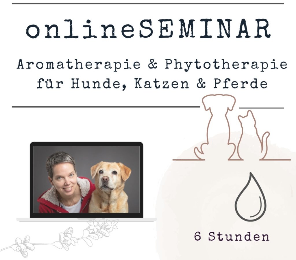 OnlineSeminar Aromatherapie Hund Katze Pferde ViVere Aromapflege