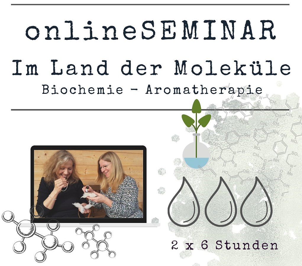 onlineSeminar Im Land der Moleküle ViVere Aromapflege
