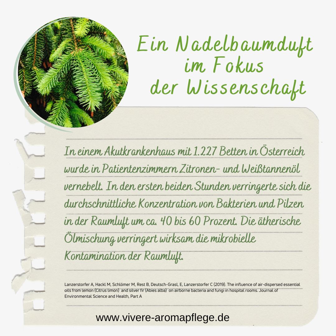 Nadelbaumduft Wissenschaft ViVere Aromapflege