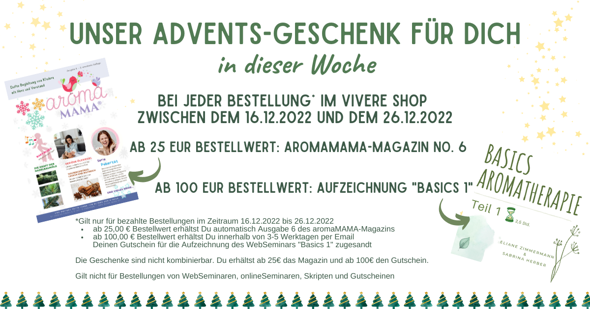 Adventsgeschenk_16122022_bis_26122022