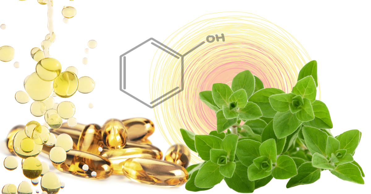 Blogbeitrag_Oregano_ViVere_Aromapflege