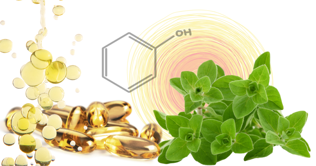 Oregano & Co: Pro und Contra zur Einnahme ätherischer Öle