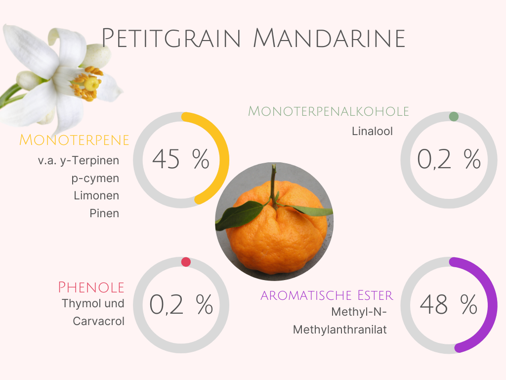 Aromatherapie - die Vielfalt der Petitgrain Öle