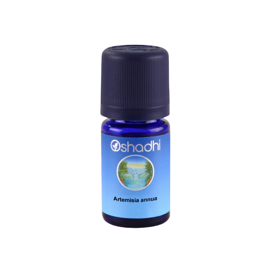 Artemisia Annua ViVere Aromapflege