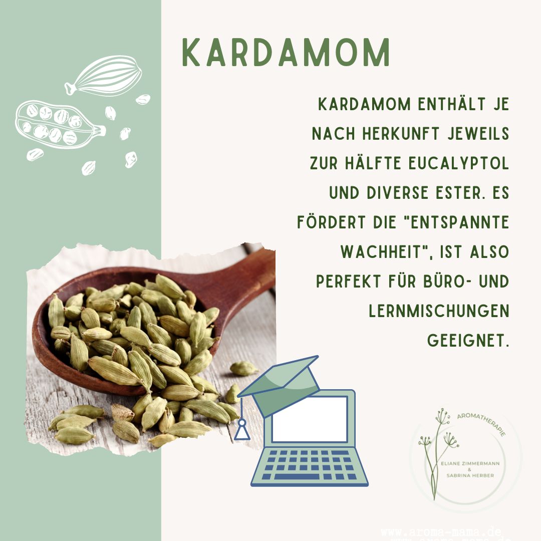 Kardamom Info ViVere Aromapflege