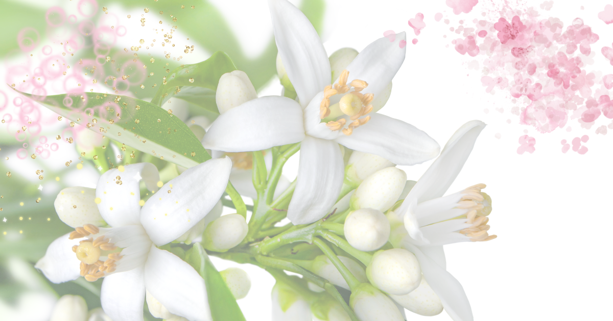 Aromatherapie mit der Vielfalt der Petitgrain Öle