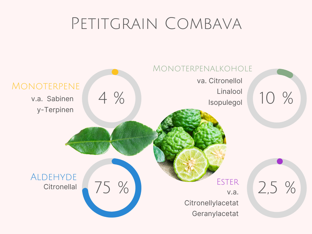 Aromatherapie - die Vielfalt der Petitgrain Öle