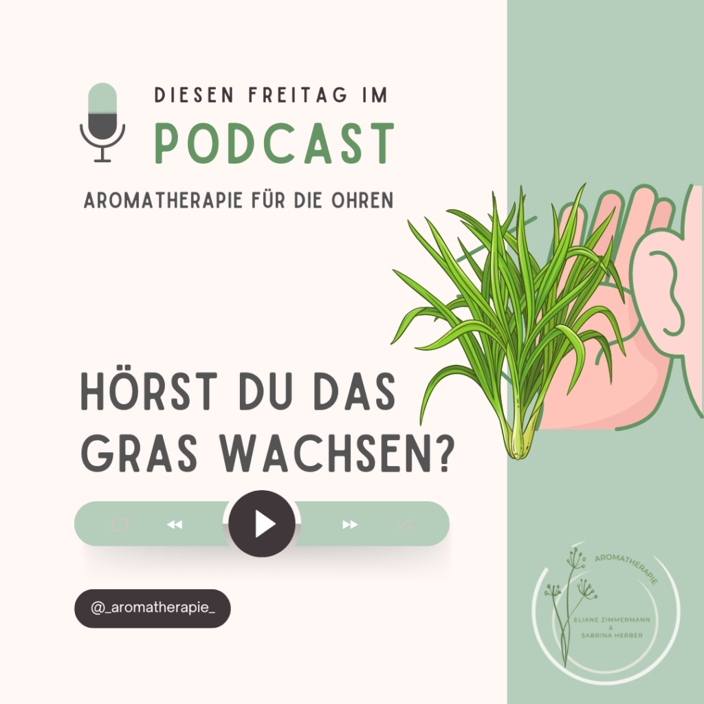 Episode 65 - Hörst du das Gras wachsen? Über Süßgräser und das Aufhören von Süchten