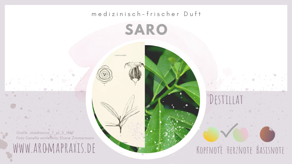 Saro Oele Lexikon Eliane Zimmermann