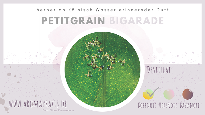 Oelelexikon_E_Zimmermann_Petitgrain